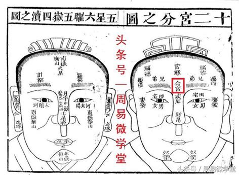 面相命宮|面相簡單說(一)命宮~